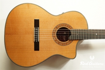 MP-14 Mahogany Artist